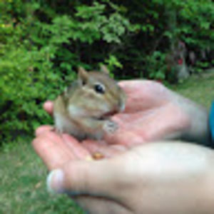 Meet your Posher, Shelly